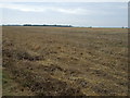 Farmland near Elsworth Lodge in CB23 3UQ