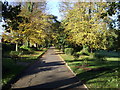 Autumn in Appley Park Ryde. in PO33 1LJ