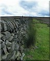 Pennine stone walling in S36 4GZ