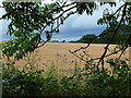 Golden crops near Llangunnock Bridge in HR2 8LX