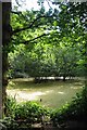 Pond in Crowsheath Wood in CM11 1JZ