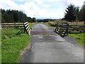 Cattle grid on the Woll Rig in TD7 4NZ