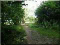 Gate off Offa's Dyke Path towards Beeches campsite in NP16 7NG
