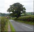 The road from Hay-on-Wye to Clyro in HR3 5RS