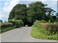2012 : North on New Road near Kilmington in BA12 6RD