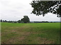 Field south of Frenches Lane in SO51 6FE