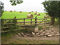 Water trough, gate and bales of hay in LN11 9RR