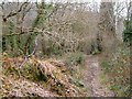 Permissive bridleway, Rollestone in EX4 9JN