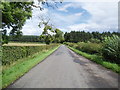 Country road near Mains of Panmure in Carnoustie and District Ward
