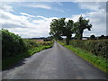 Country road near Mains of Panmure in DD7 7SE