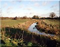 River Blackwater and Worthing Church in NR20 5HH