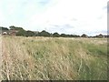 Looking east from Fleetwood Close in ME12 3FH