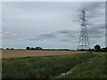 Pylon and power lines near Nordelph in PE38 0BW