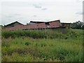 Collapsed farm shed on Squire's Drove, Three Holes in PE14 9JY