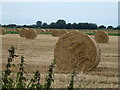 Big bales on Squire's Drove, Three Holes in PE14 9JY
