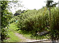 Footpath through the allotments in SP7 8HD