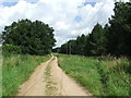 Forest Track in IP26 4LR