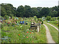Allotments, Burhill Road in KT12 4JL