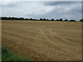 Farmland near Edworth in SG18 9SZ