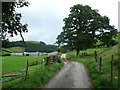 Lane above Bwlch-y-cocsydd farm near Llanfyllin in SY22 5LB