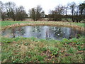 Dew pond in the Nature Reserve in SN6 6HB