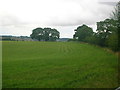 Improved grassland adjacent to North Standen Road in RG17 0RA