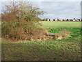 Field with pond near Mickleover in DE3 0AX