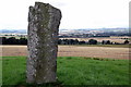 Symbol Stone on Tumulus at Baldowrie, Angus in PH13 9JU