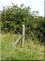 Southern Region fence post in ME12 3FH