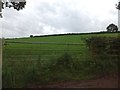 Field gate on Farringdon Hill in EX17 4DA