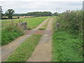 Cattle grid on the access road to Whinfield House Farm in DL1 3LE