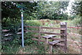 Stile ant path to Grove Farm in HP22 7FB