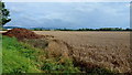 Wheat crop near Northway in GL20 8TQ