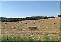 Arable field containing baled straw in SN8 3LW