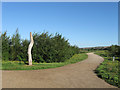 Cycle Path, Ouse Estuary Nature Reserve in BN25 2SL