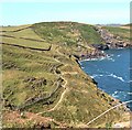 The Coast Path along Reedy Cliff in PL29 3SU