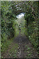 Bridlepath approaching Tremelling in TR27 6HS