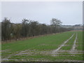 Tree lined watercourse near Bowerchalke in SP5 5BT