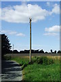 Telegraph Pole in CB8 9PZ