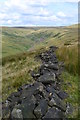 View north to the valley of Crowden Little Brook in Tintwistle