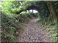 Bridleway, Conegar Hill in DT6 6RG