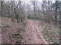 Path, Wind Down Plantation in TA5 2EB