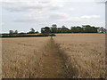 Footpath to Sapperton in Braceby and Sapperton