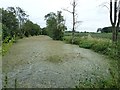 Disused Hereford and Gloucester Canal in HR8 2TA