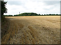 View across stubble field north of West Winch Road in PE32 1SF