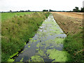 View along Polver Drain, Setchey in PE33 0RH