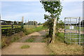 Cattle grid and path to North Lodges in SG3 6PX