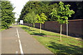 Old route of Ridgemont Road in Husborne Crawley