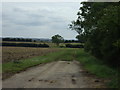 Farm track, Billyards Farm in DN21 5XA