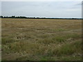 Farmland off Norton Lane in LN8 2AX